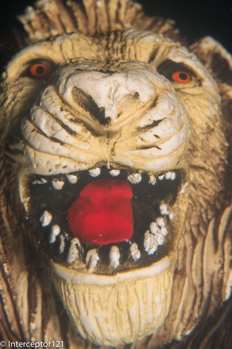 Lion Mouth Single Diopter