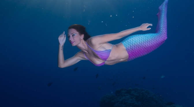 Red Sea Workshop with Alex Mustard – Part V Tiran & Mermaids