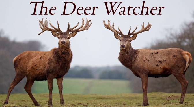 WATCH The Deer Watcher Premiere Friday 26 March 8PM GMT