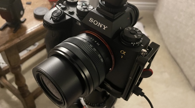 Sony FE 28-60mm f/4-f/5.6 Close up tests