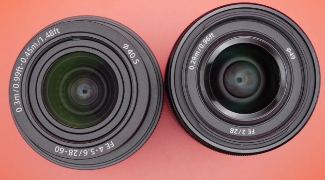 Sony 28mm Prime vs 28-60mm Zoom with the Nauticam WWL-1